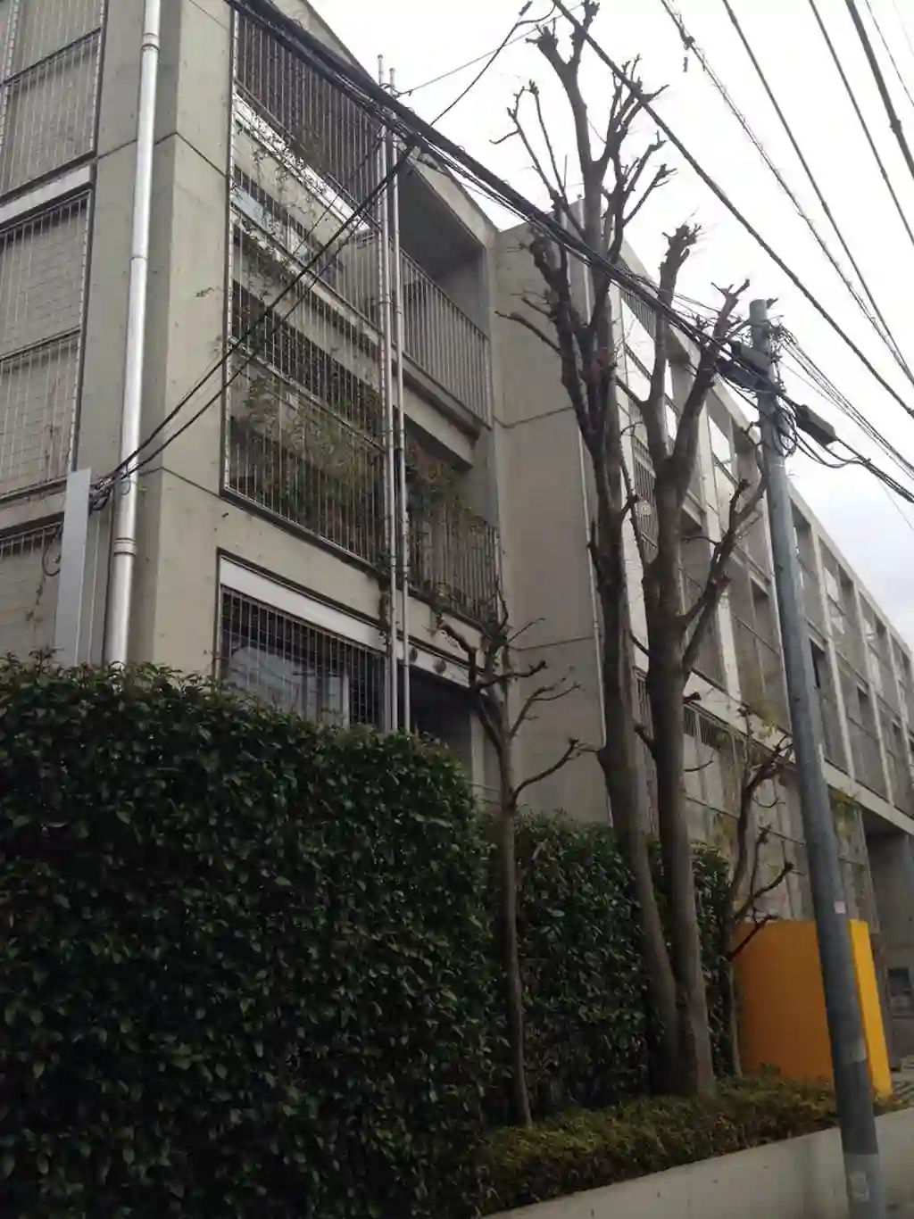 RefugeOginoForestN 外観