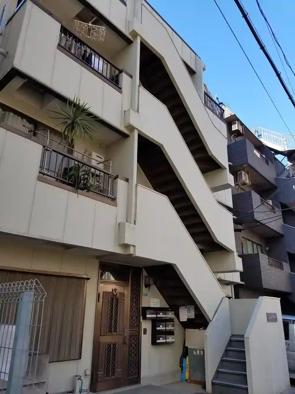 リリーワイト 外観