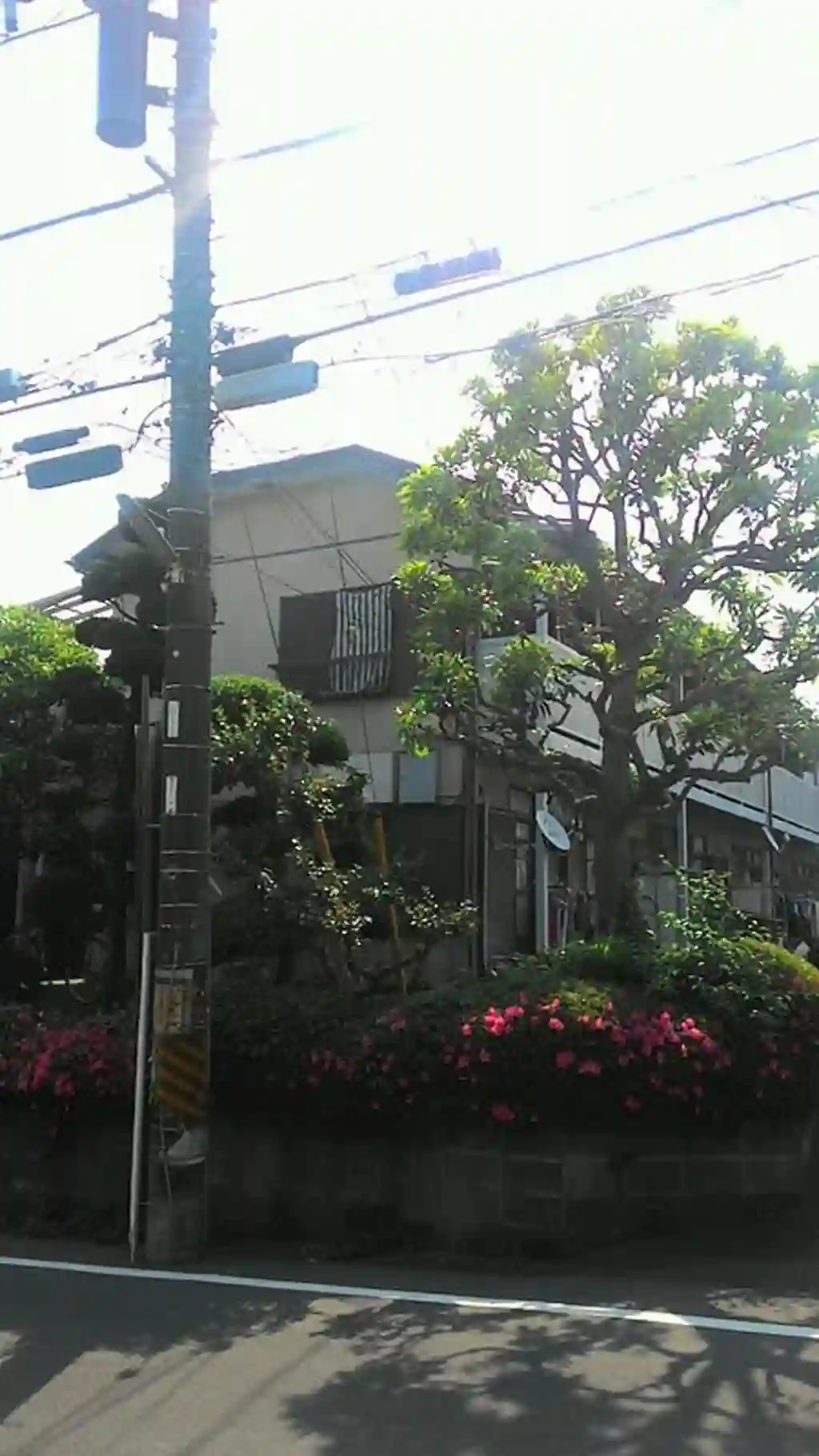 第一持田ホーム 外観