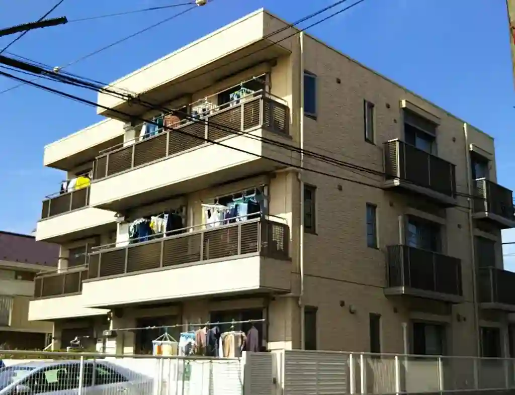 オリーブ 外観