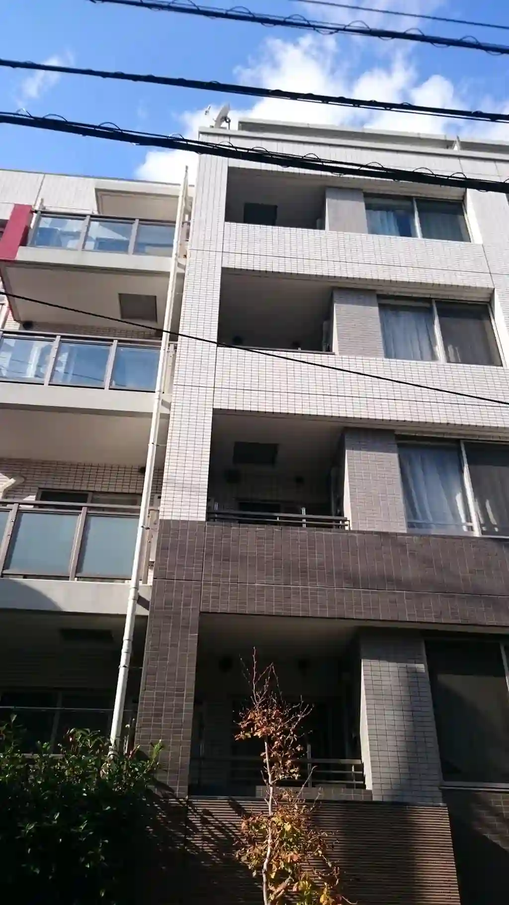 ベルフェリーク赤羽 外観
