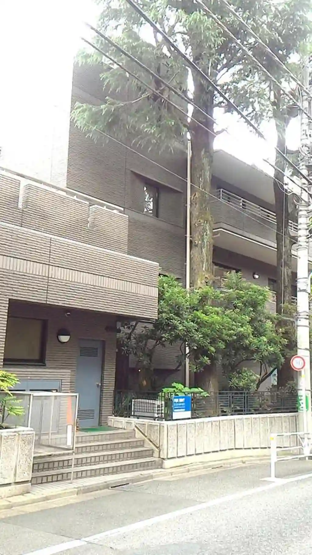 メゾン南平台 外観
