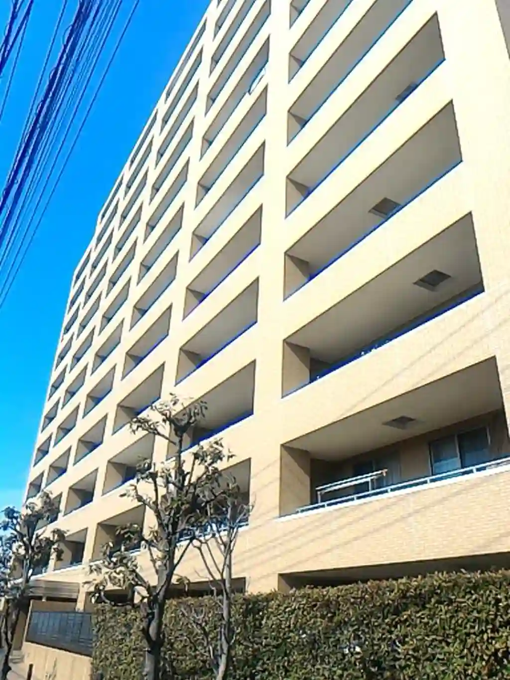 ダイアパレス本郷町 外観