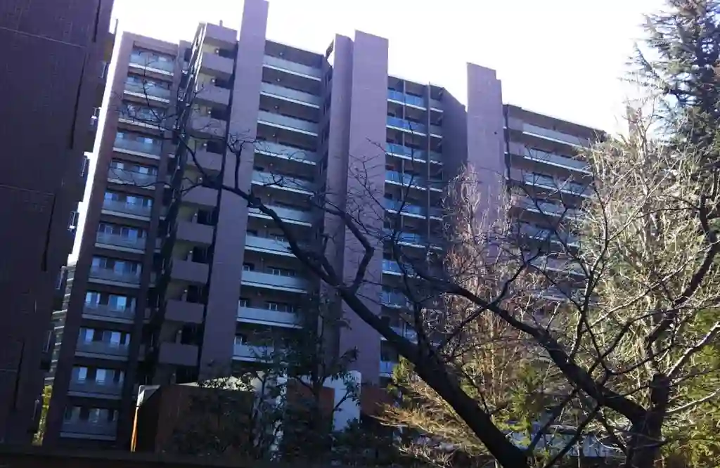 東京テラスDテラス 外観