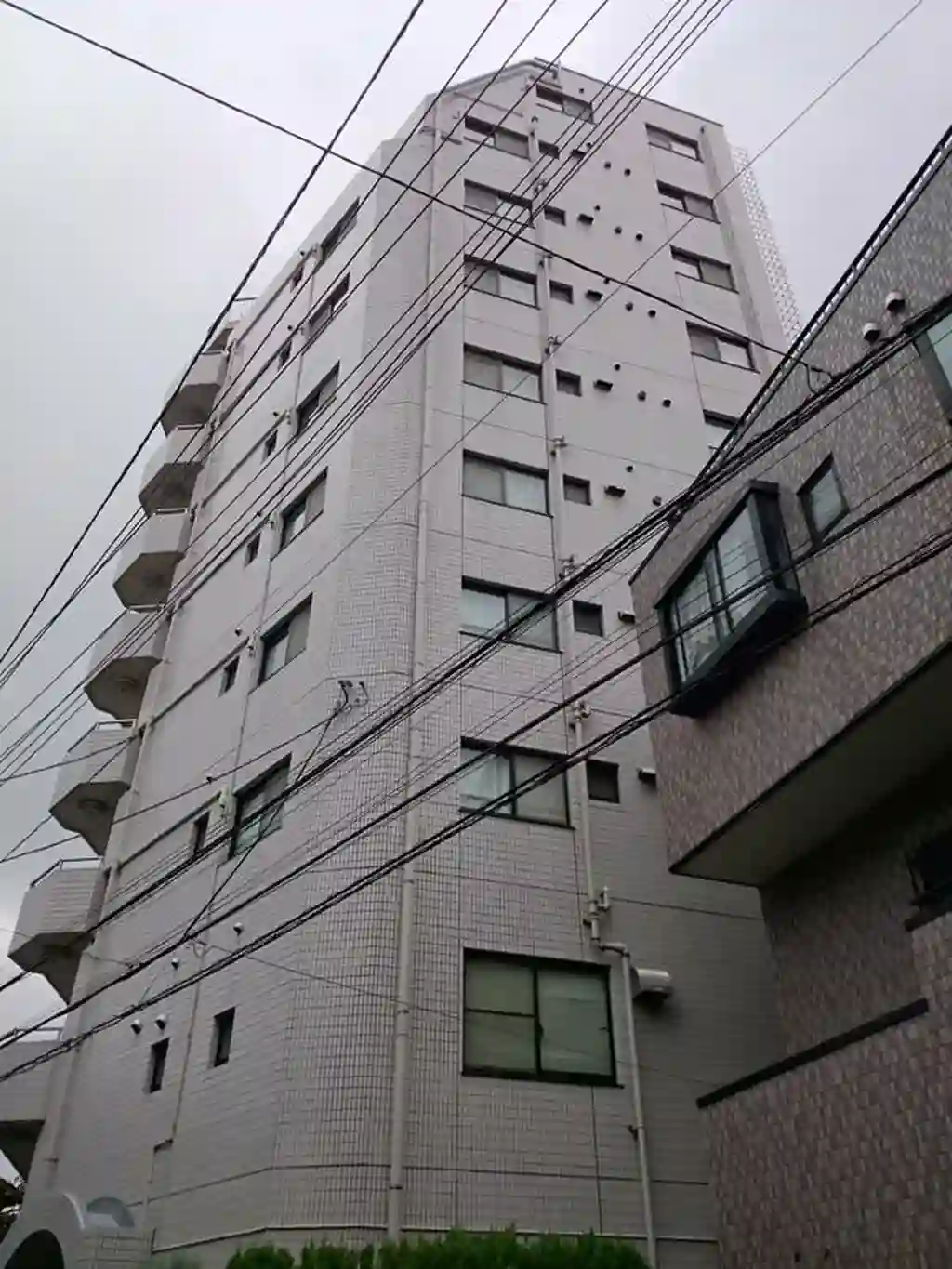 CATS 外観