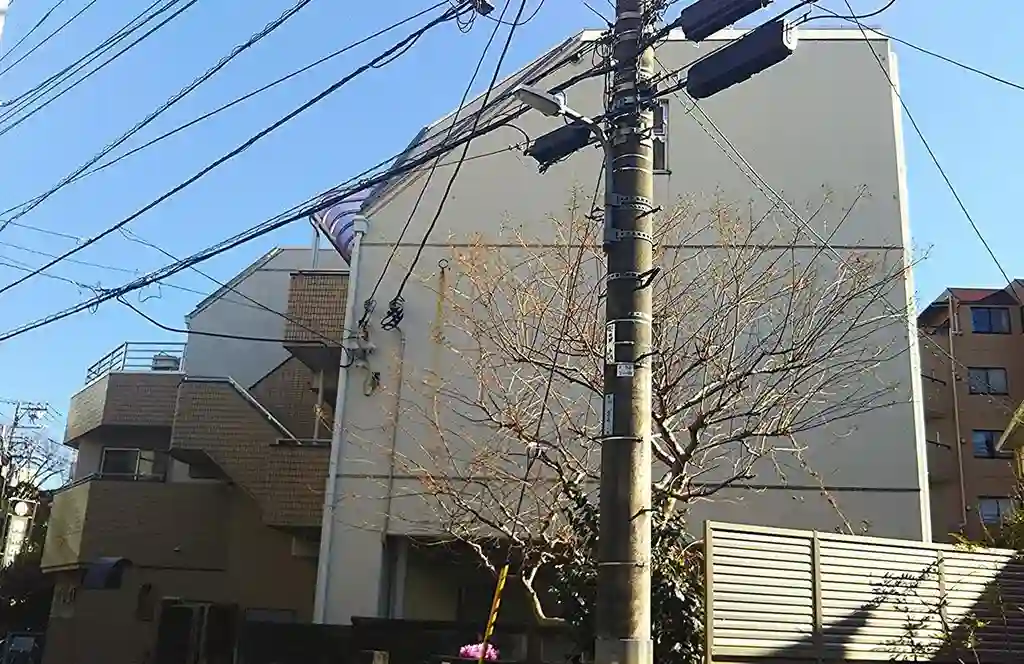 マンションセリーヌ 外観