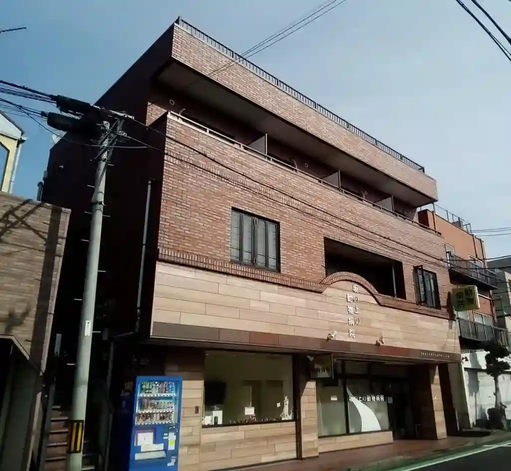 ロベール石川 外観
