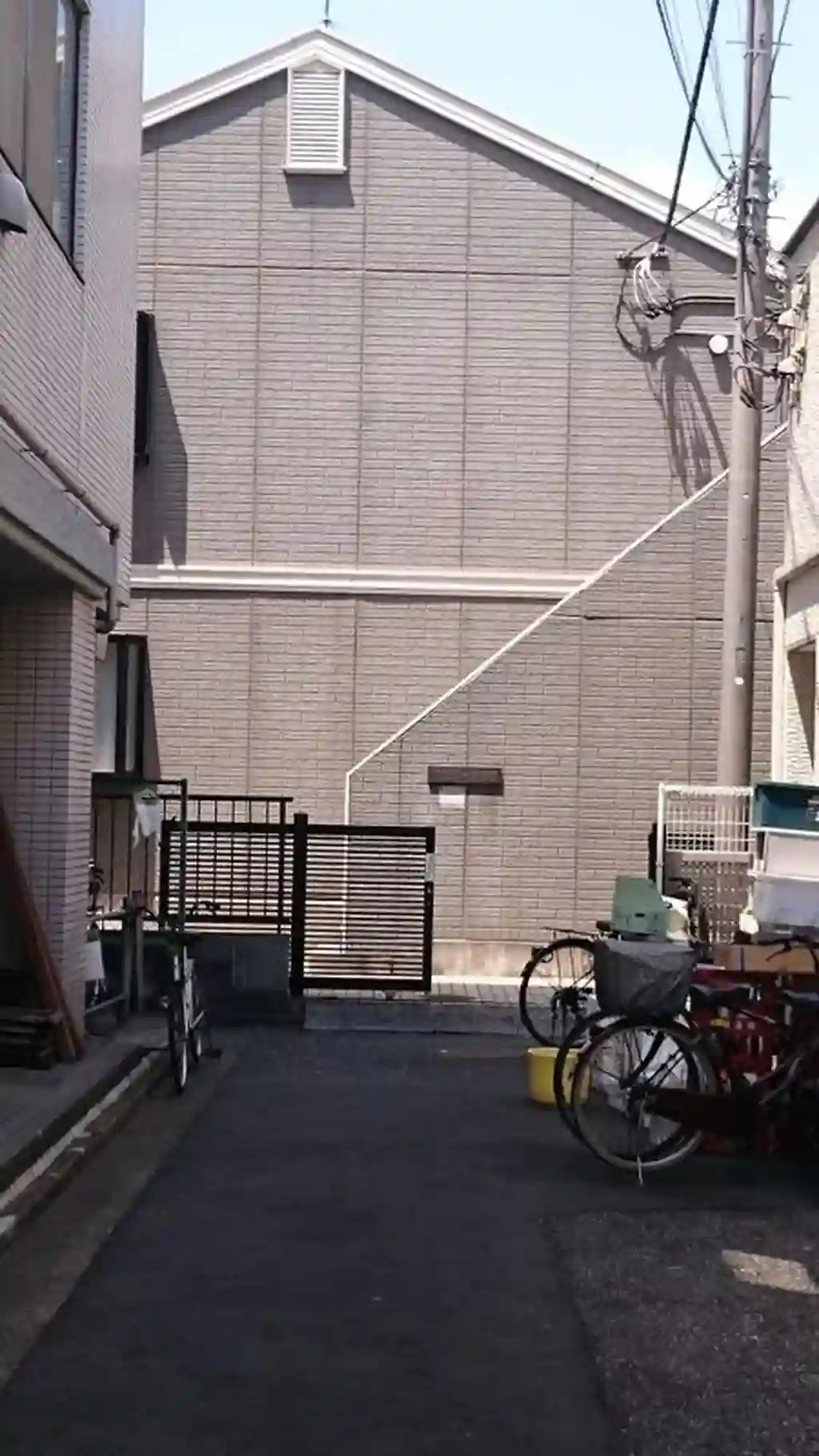 フェローワラビ 外観