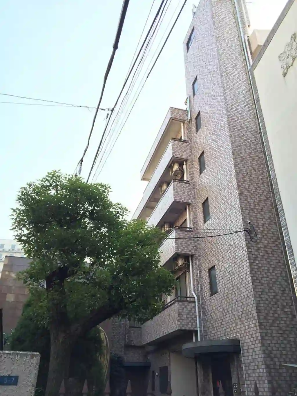 ニューエクセル藤和 外観