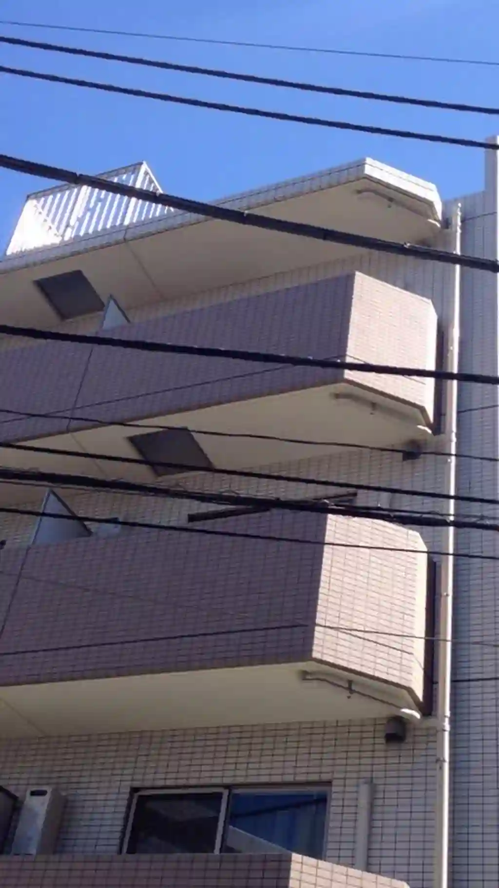スカイコート小竹向原 外観