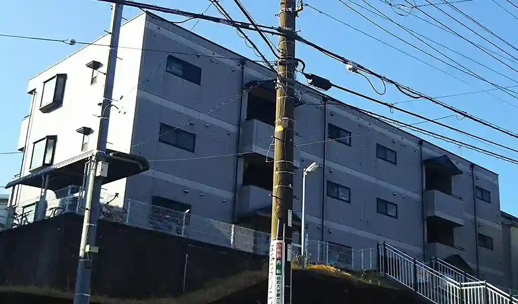 プラシード 外観