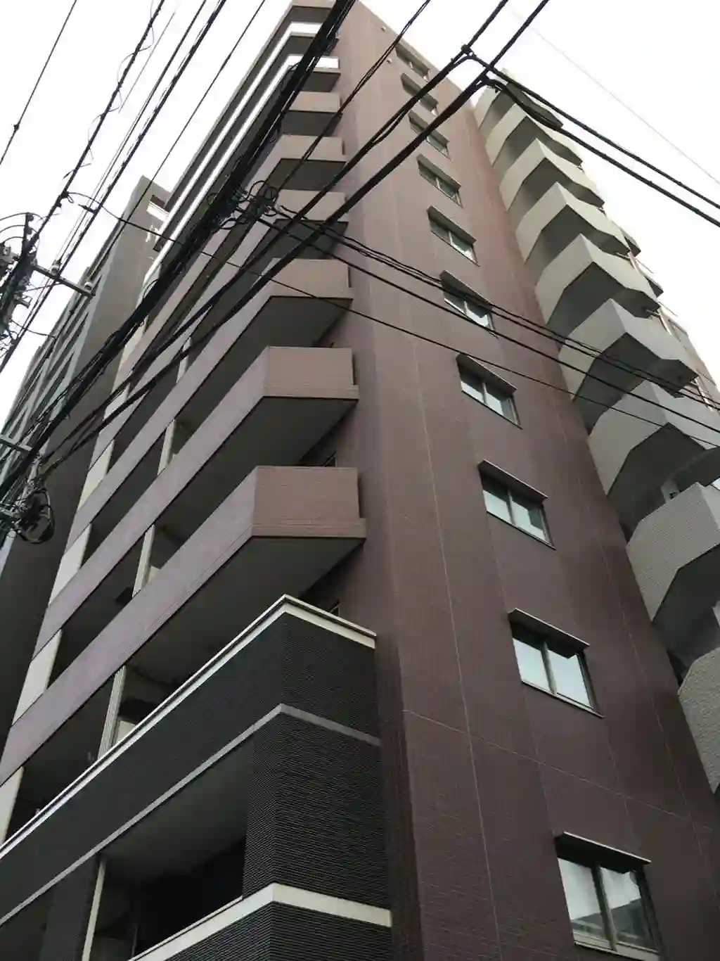 フェザント 外観