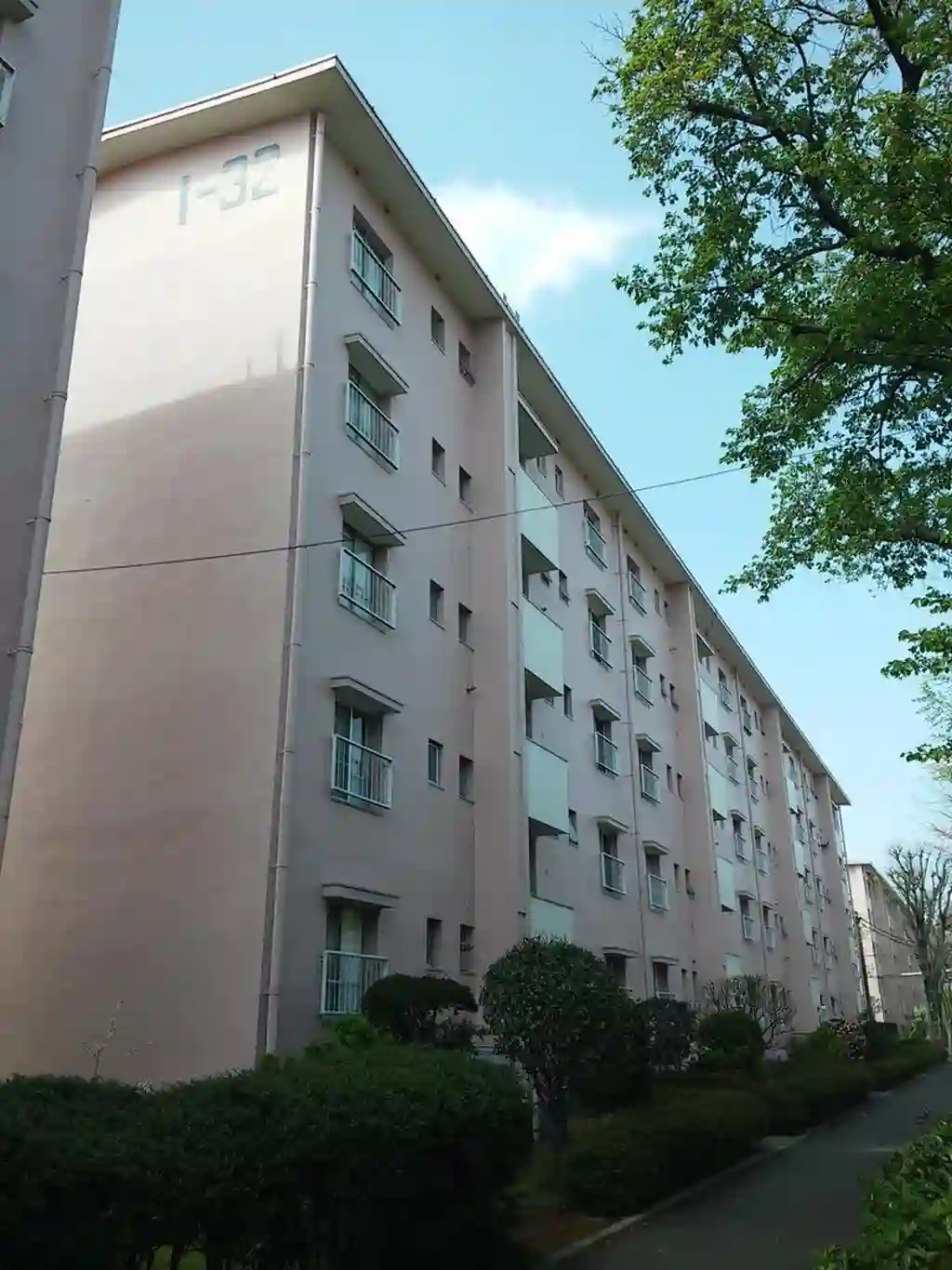 国立富士見台団地1-32号棟 外観