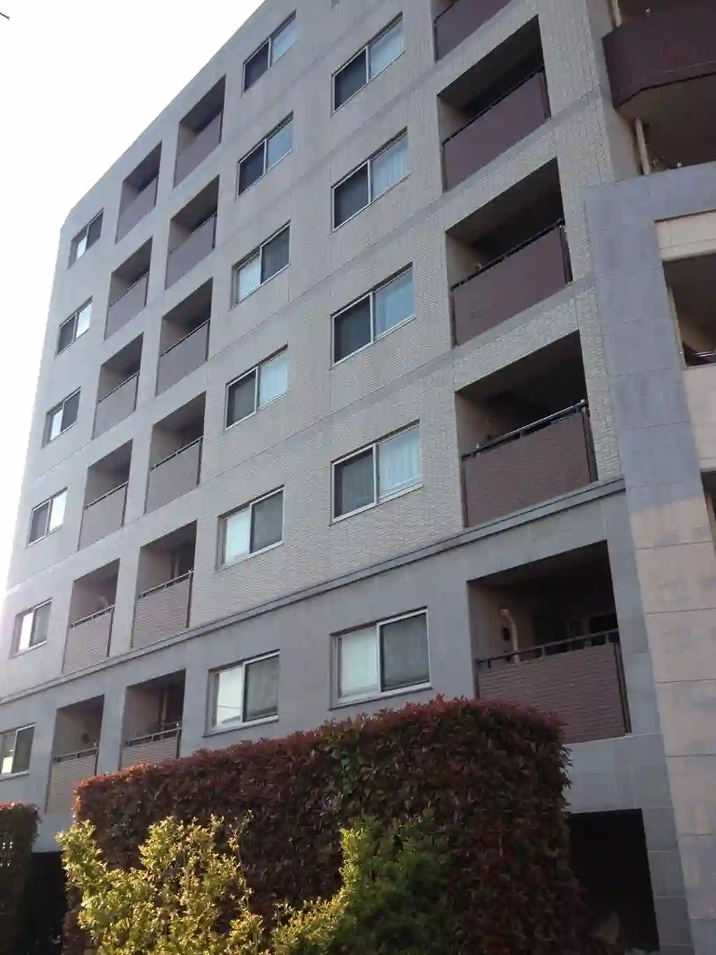 ダイナシティ千鳥町 外観