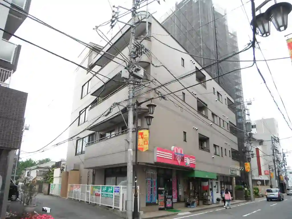 リッツヴィラ柏 外観
