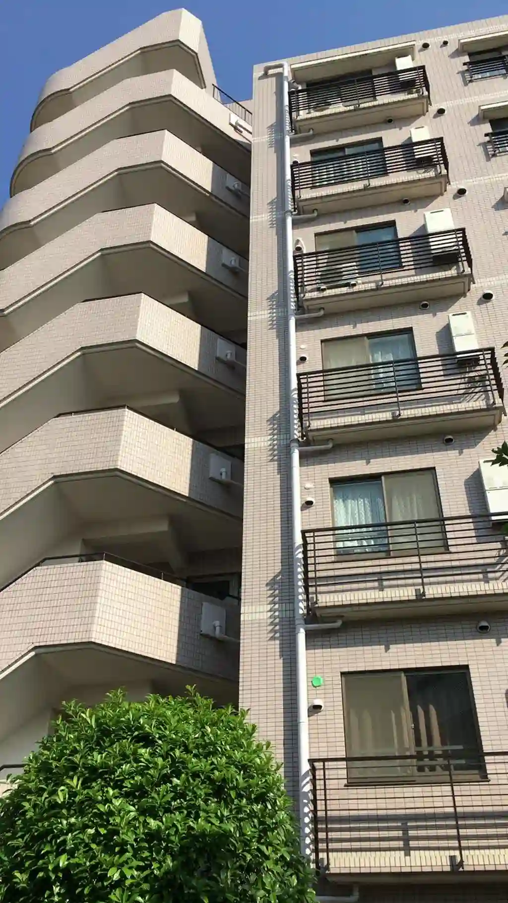 パークノヴァ向島 外観