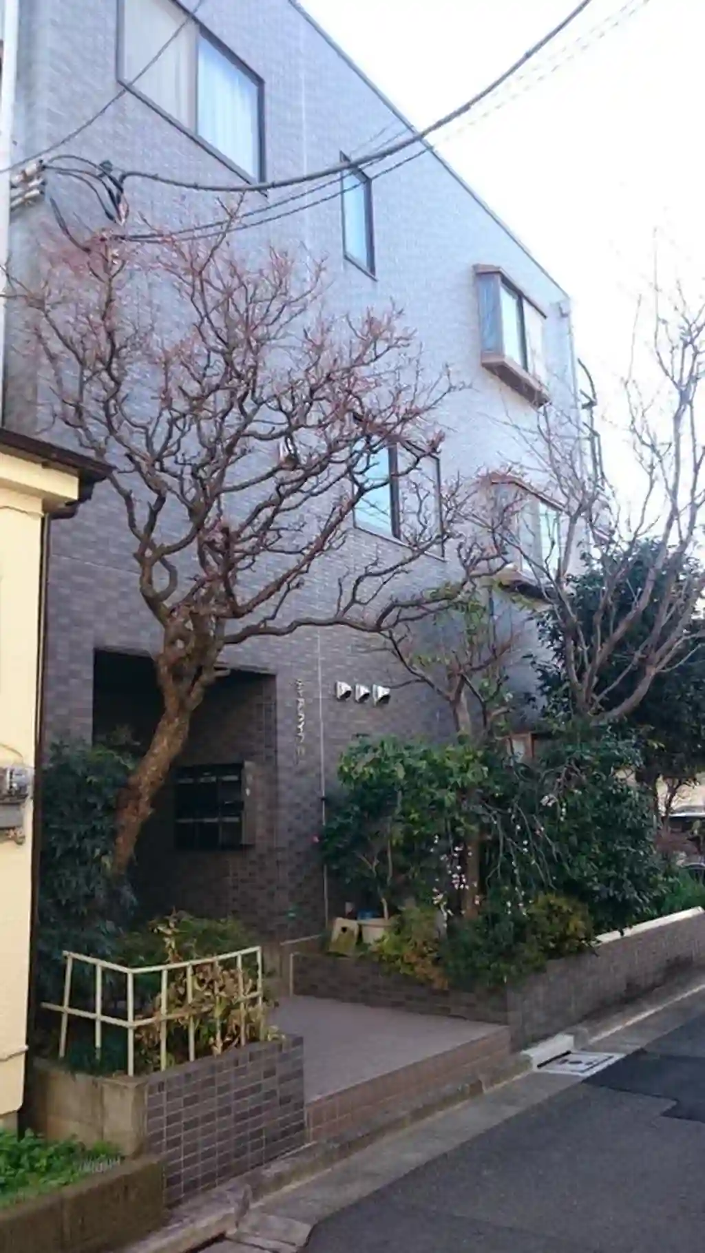 ディアライフ伊藤 外観