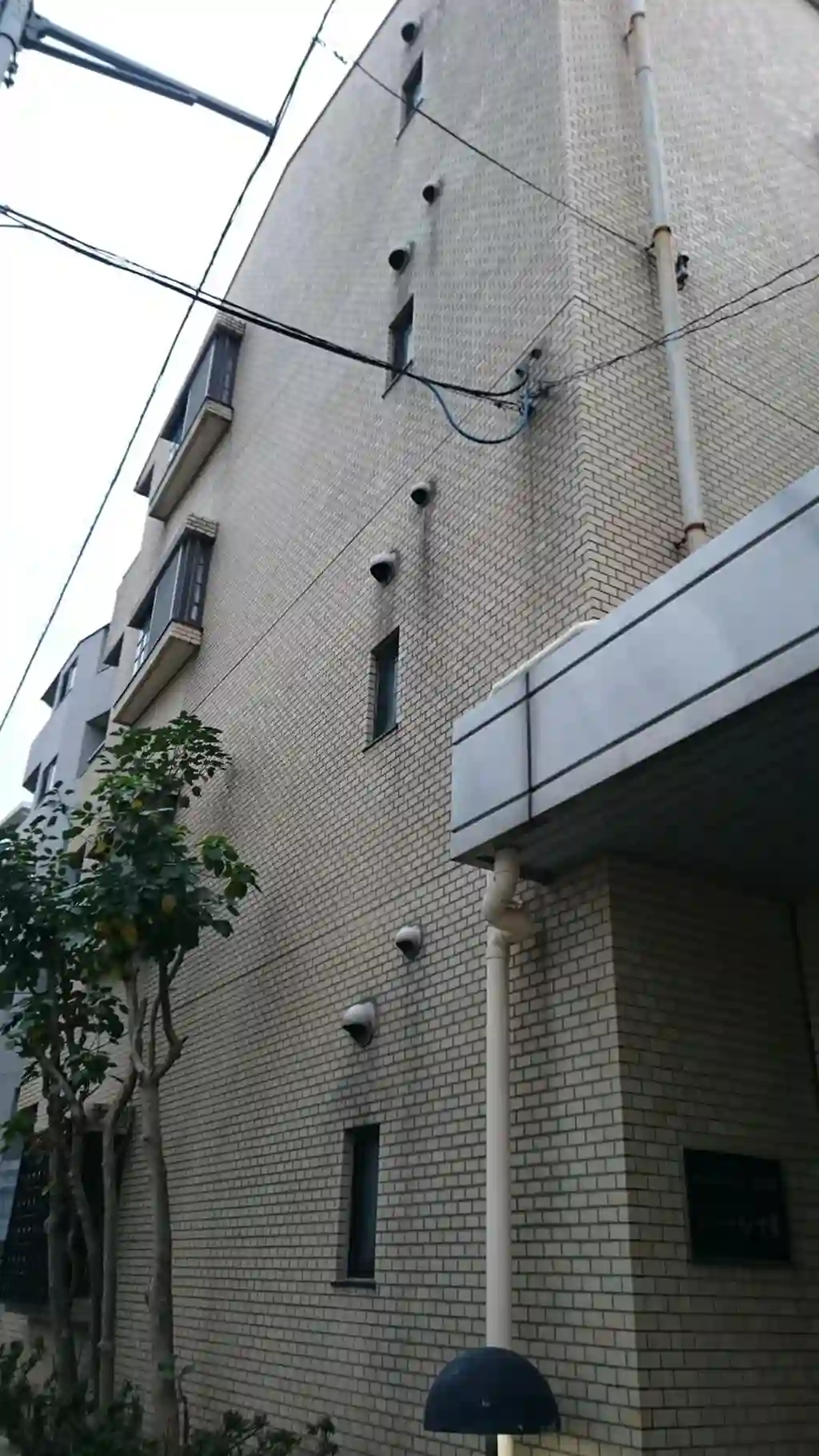 ドミール十条 外観