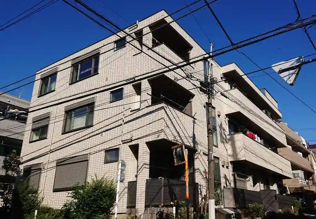 ベルーガ 外観