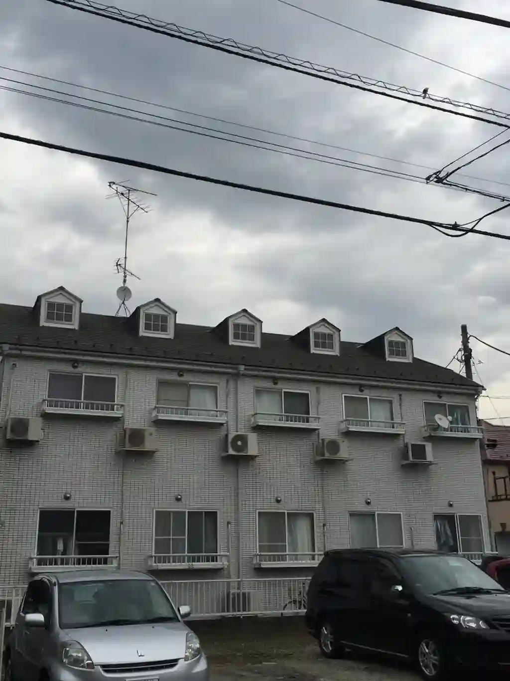 サンシティ稲田堤第4 外観