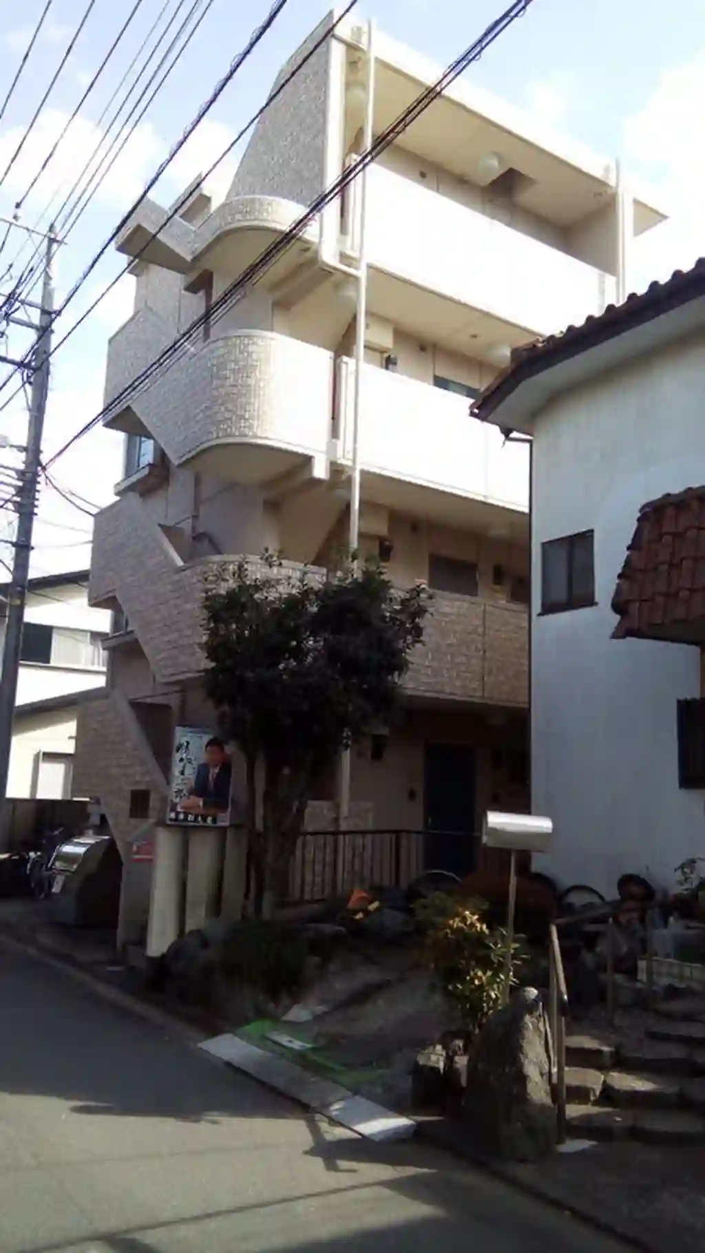 桜樹 外観