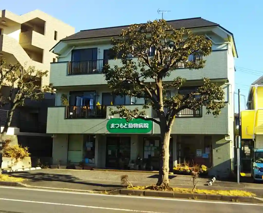 メゾンシンデン 外観