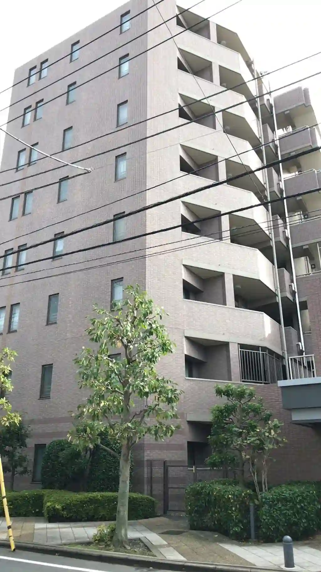 ヒルズ川口南町 外観