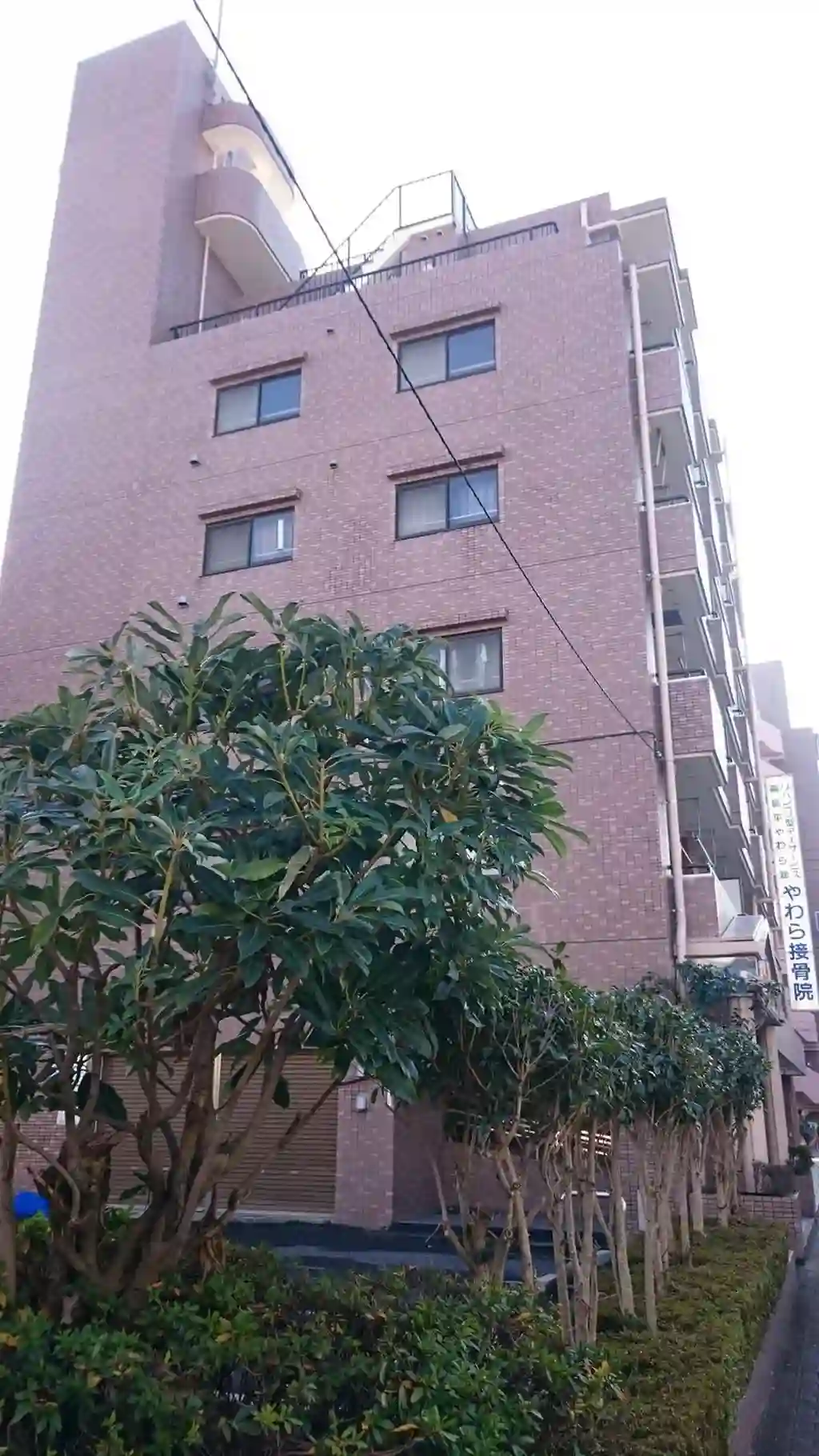 ロイヤルコーポ高島平 外観