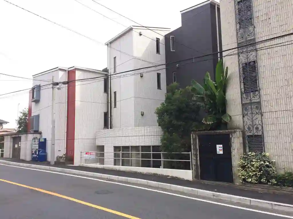ブーゲンビリアBOUGAINVILLAEA 外観