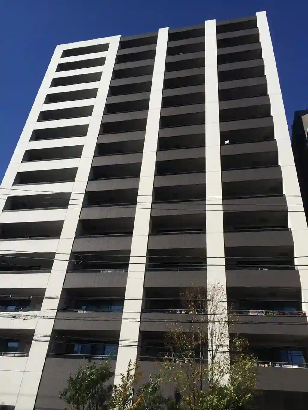パークホームズ綾瀬ステーションプレミア 外観