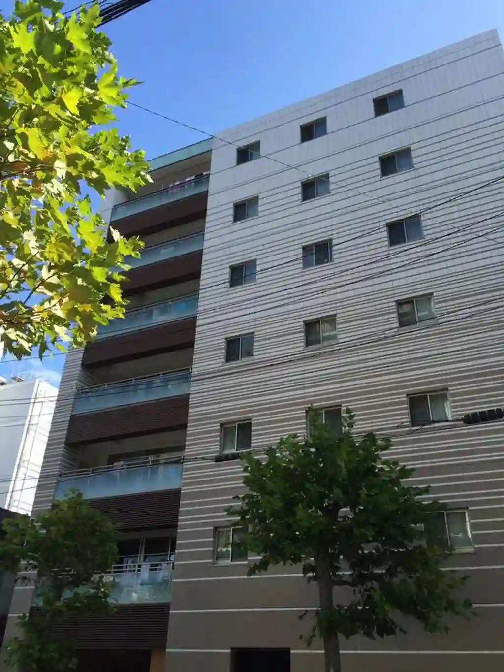 アスコットパーク両国亀沢 外観