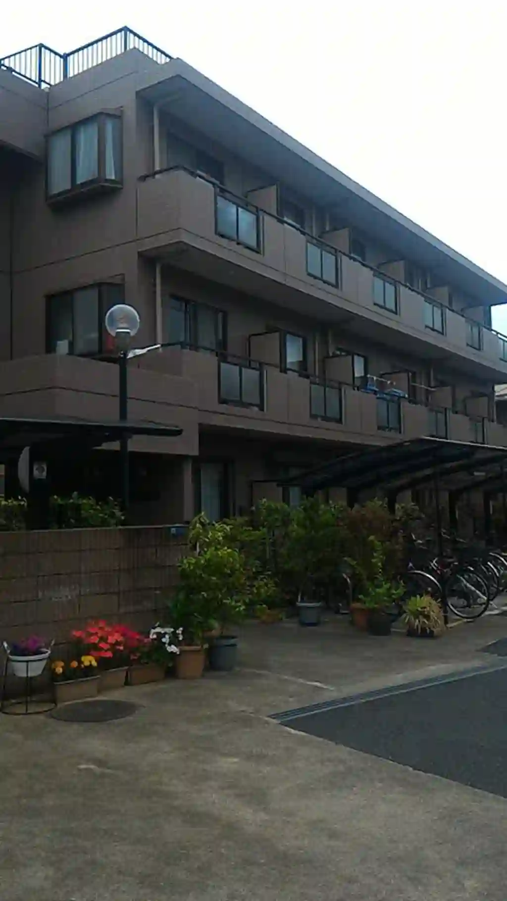 カメリア 外観