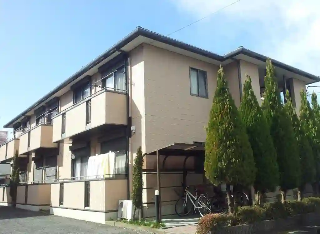 エクセルみねきC 外観
