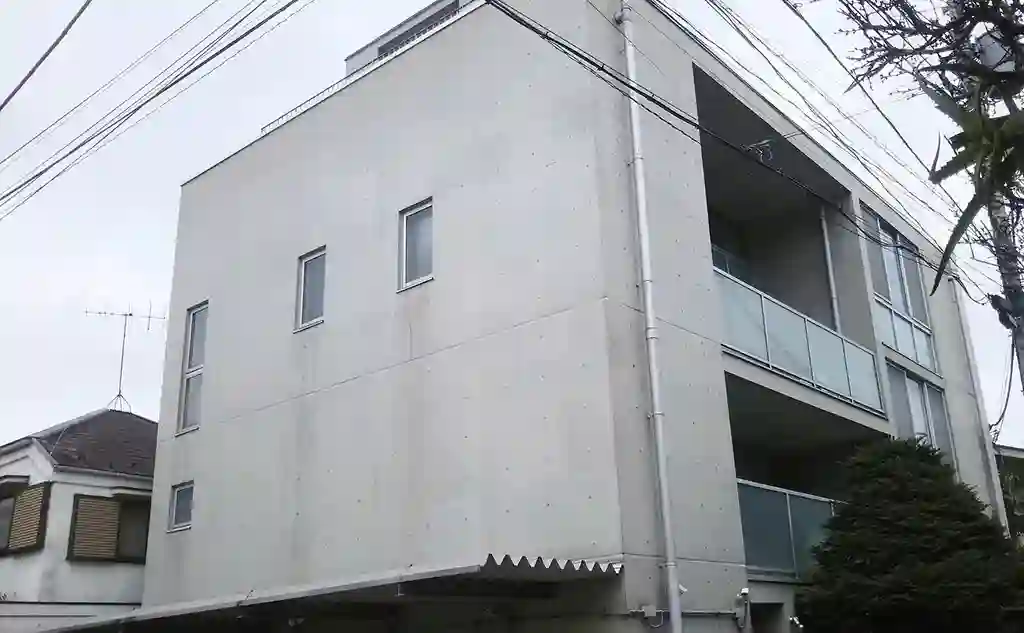 STEP 外観