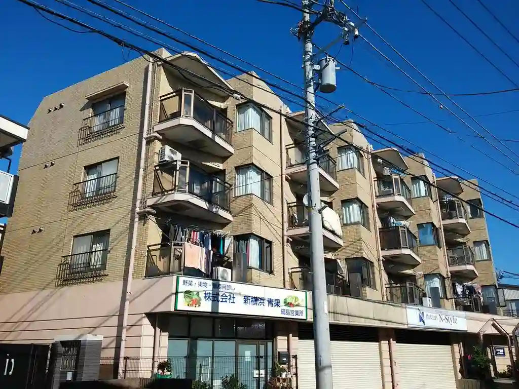 ドミナス綱島 外観