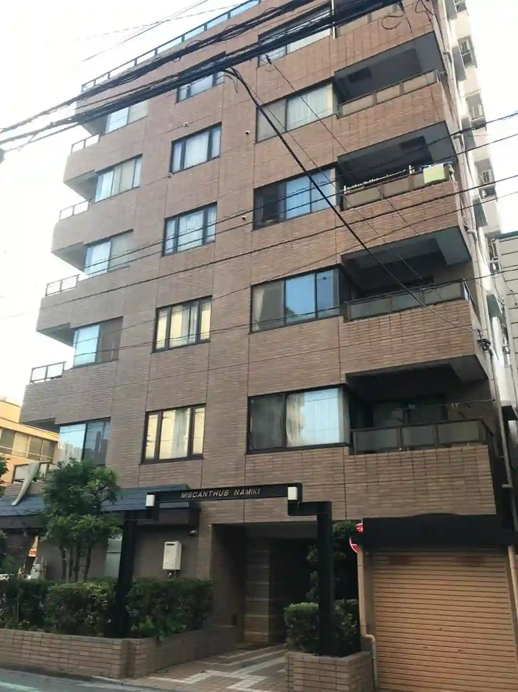 ミスカンタス並木 外観