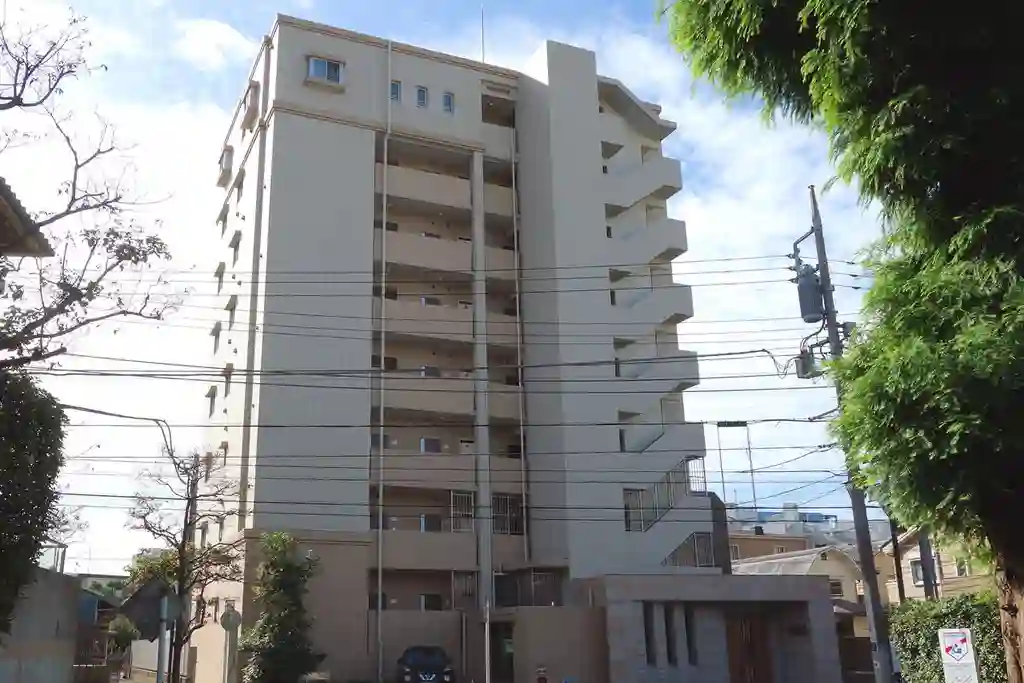 ANNEX-S 外観