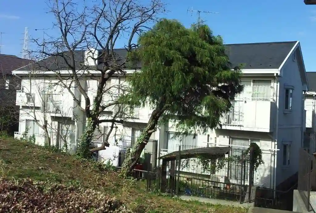 グローリーイイダB棟 外観