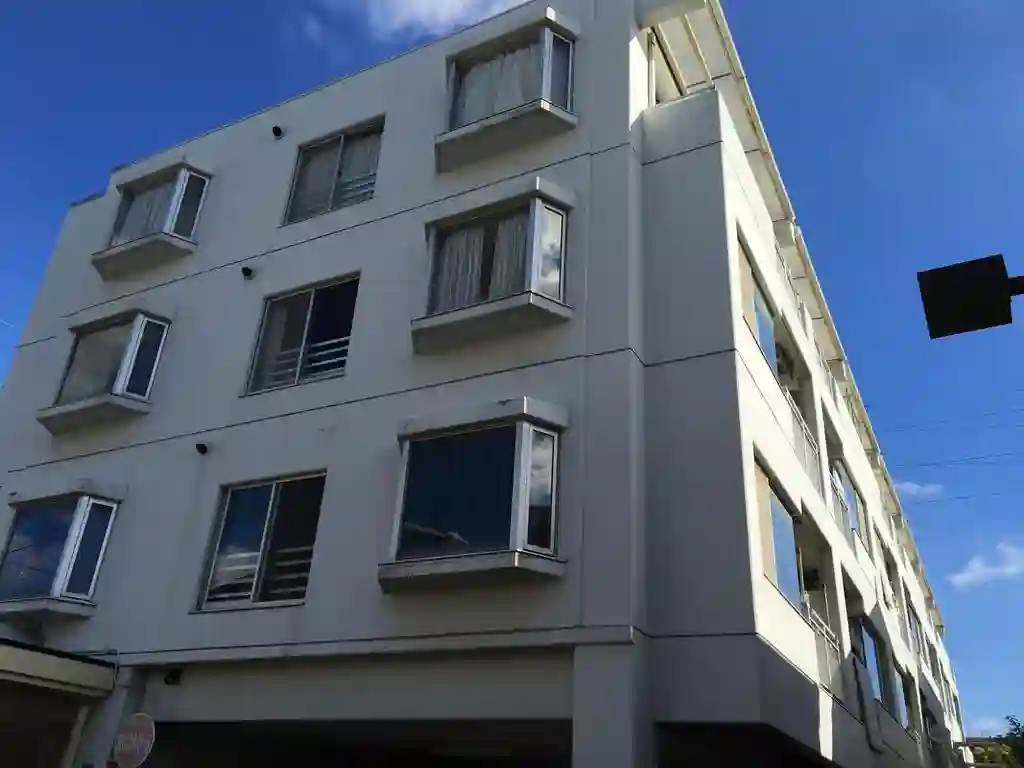 TSハイム市川 外観