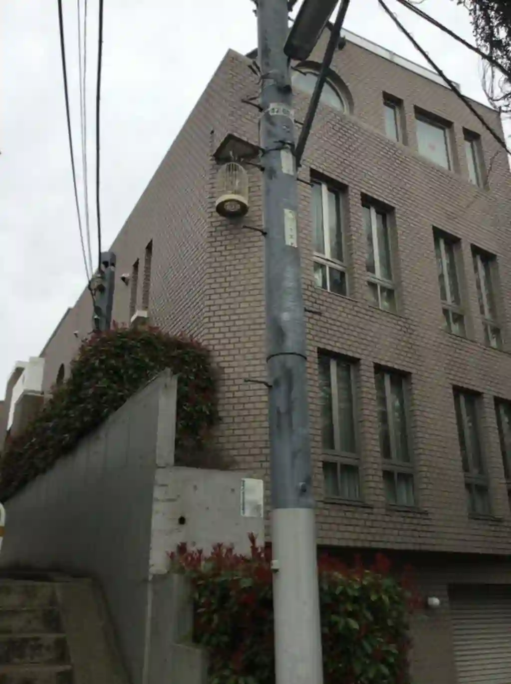 スカラすくも 外観