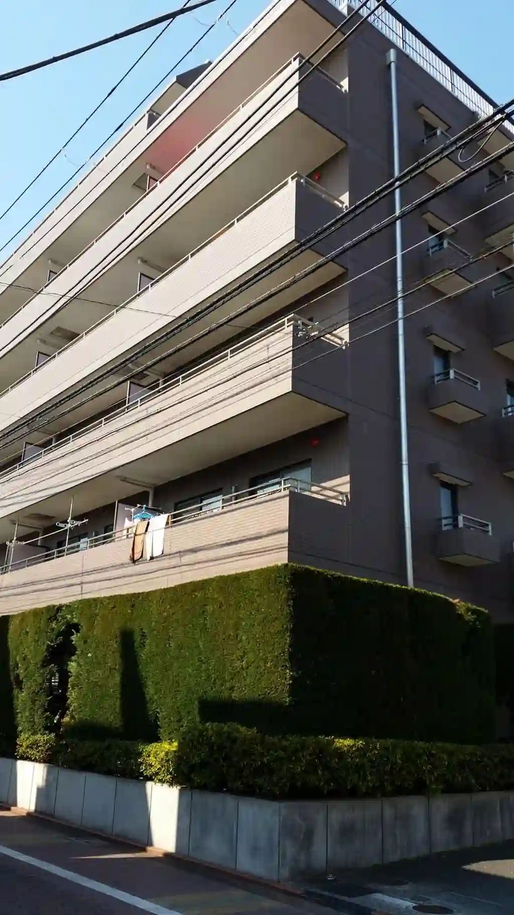 グランメゾン市野倉 外観