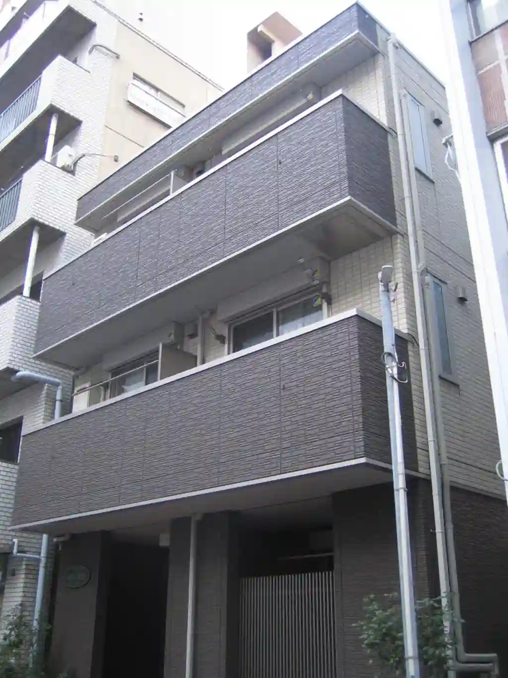 MOREGREEN 外観