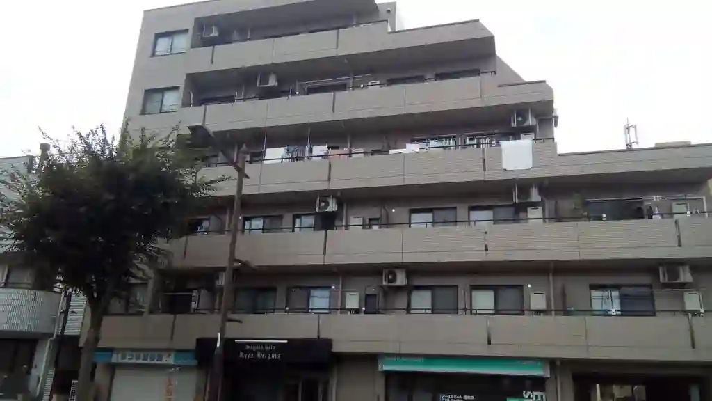 相模原レックスハイツ 外観