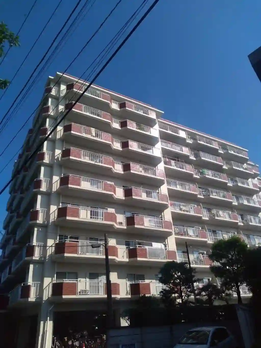 市川江戸川堤マンション 外観