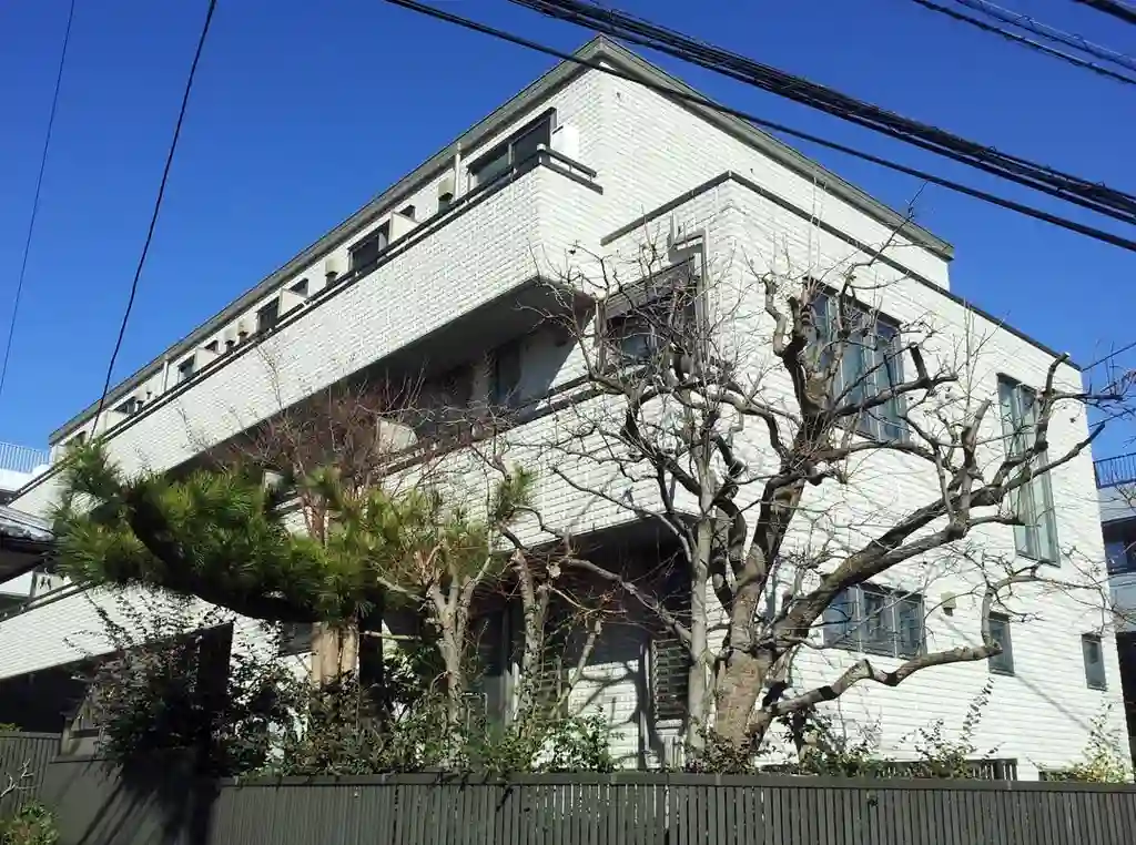 サクラ 外観