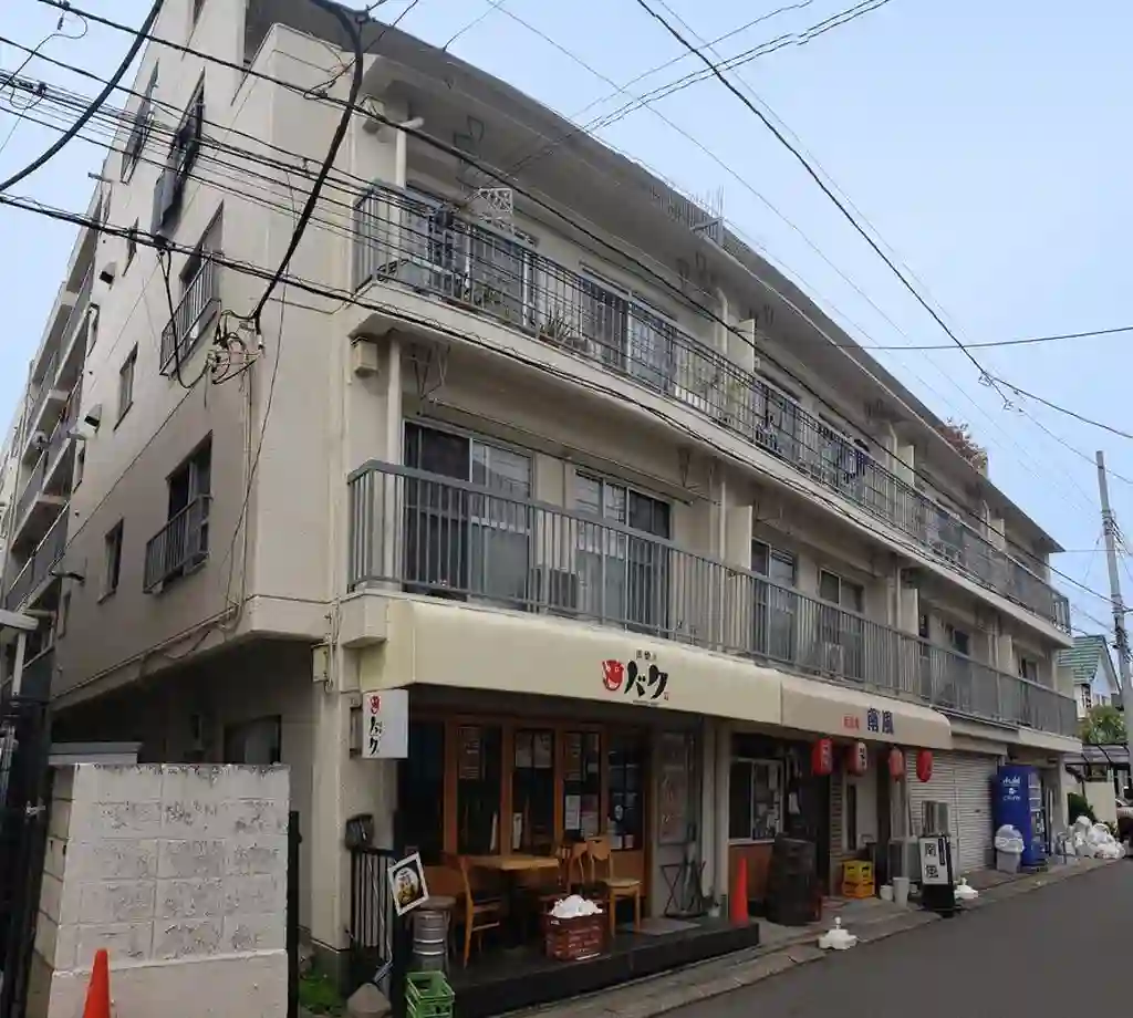 南流山京葉ハイツB棟 外観