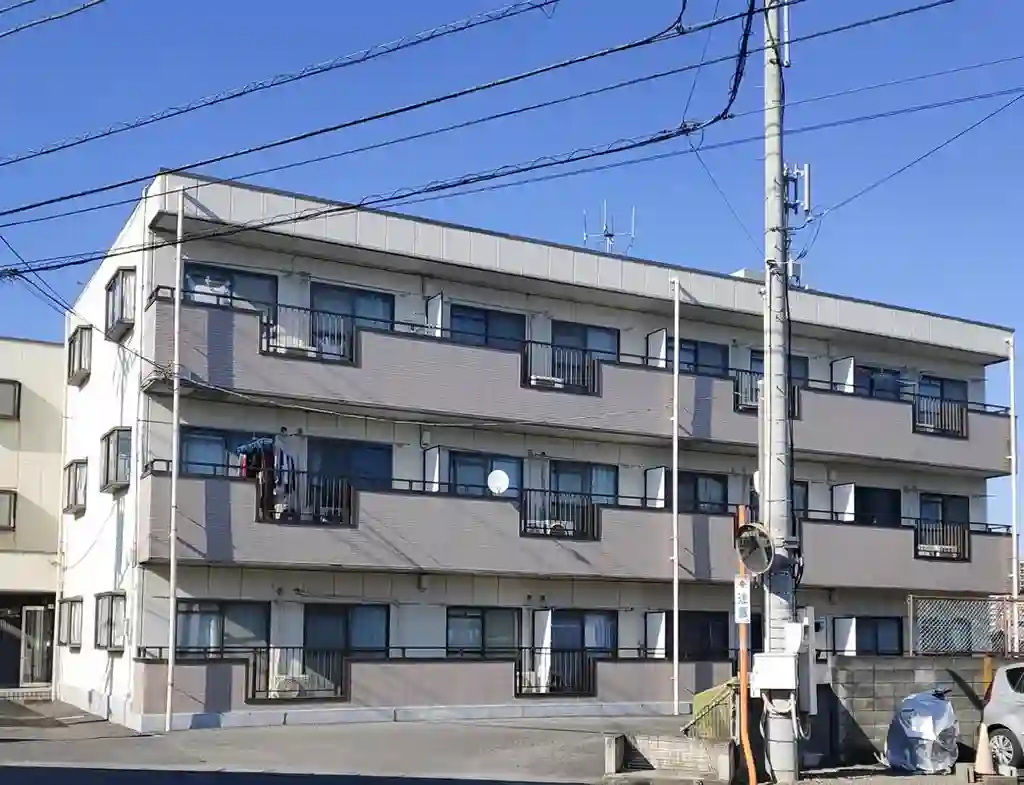 アムールオオカサ 外観