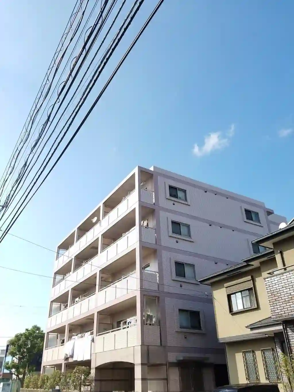 CATAKA CHEETA 外観