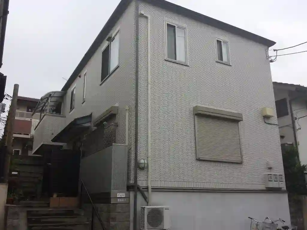 アンスリウム 外観