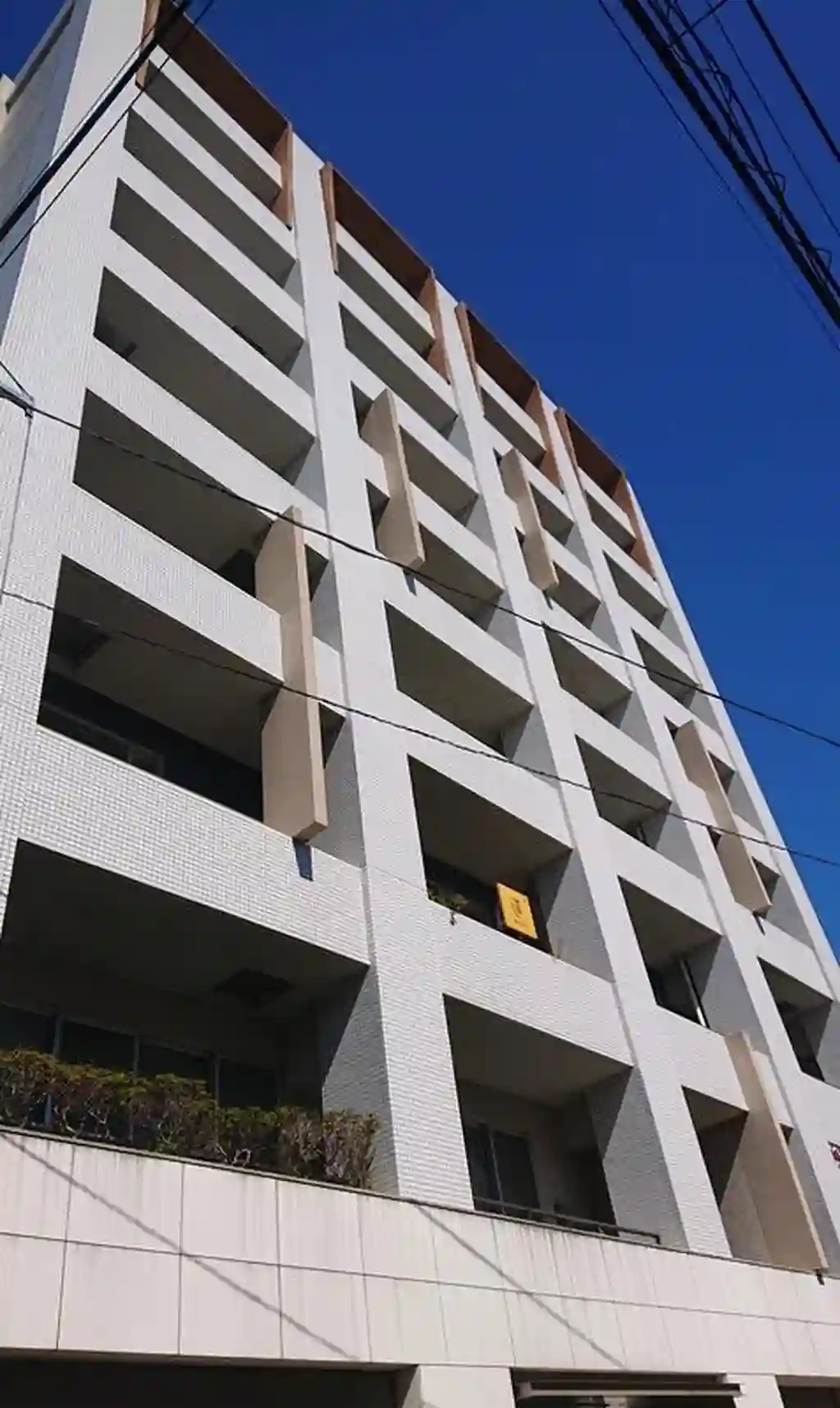 目白Y2 外観